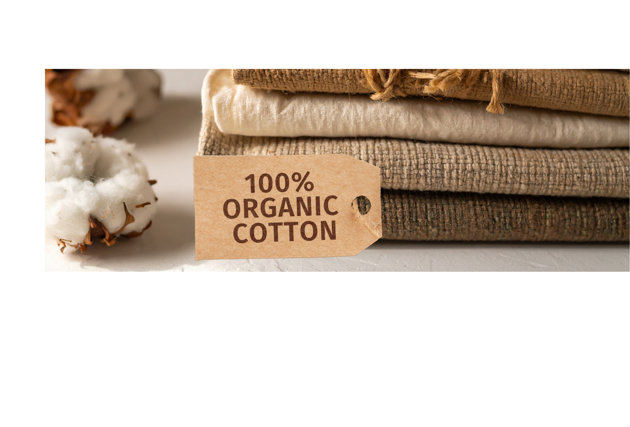 Tout sur le coton biologique Little Harmonie