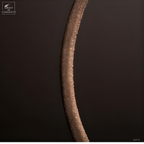 Queue de raie en forme de point d'interrogation