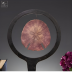 Dollars des sables violet dans cercle métal