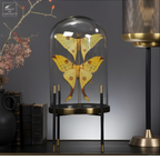 Couple de comètes de Madagascar sous globe rond sur pieds