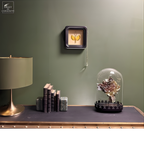 Phasme Tagesoidea nigrofasciata dans boite d'observation