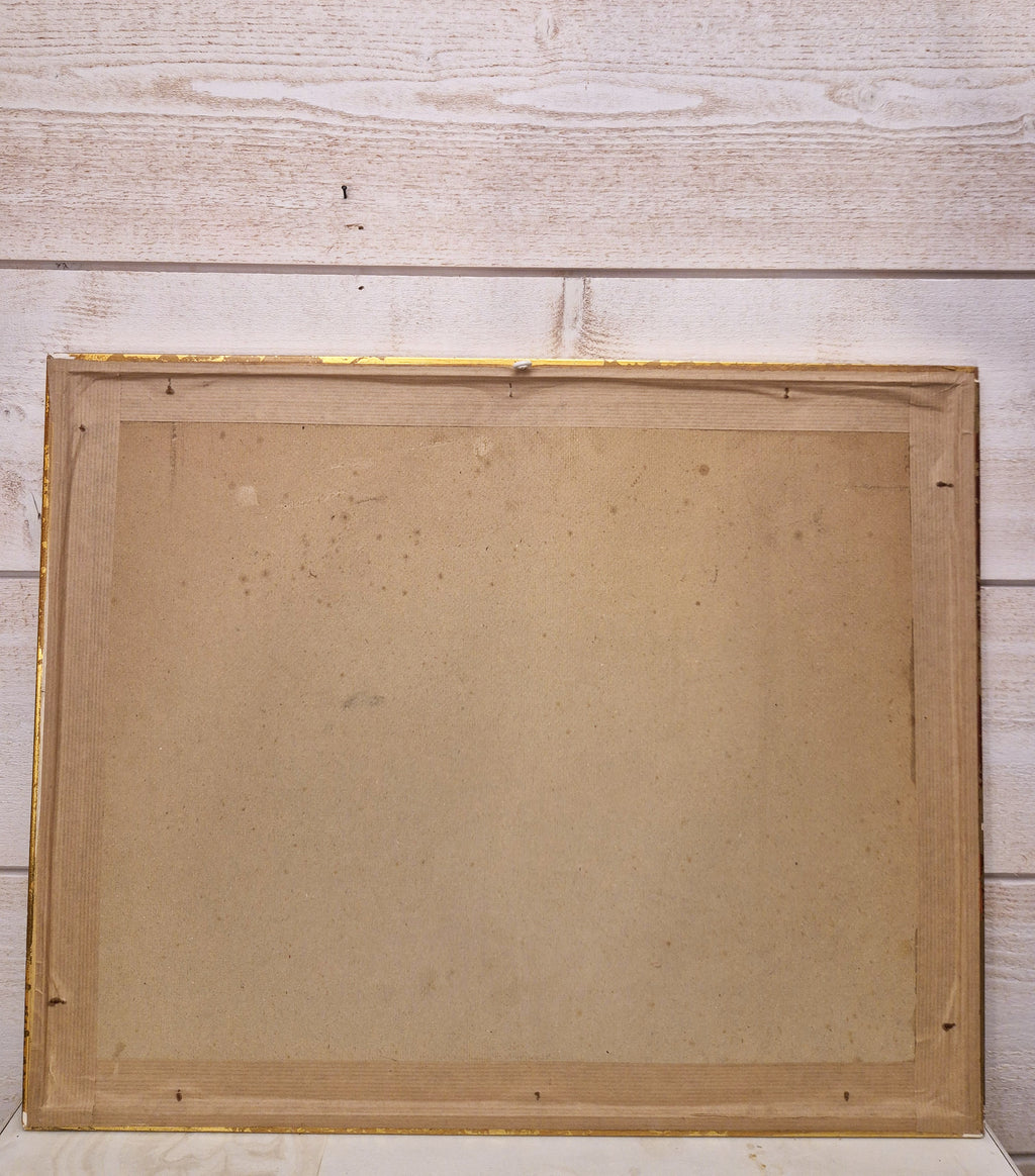 Cadre Canards colvert