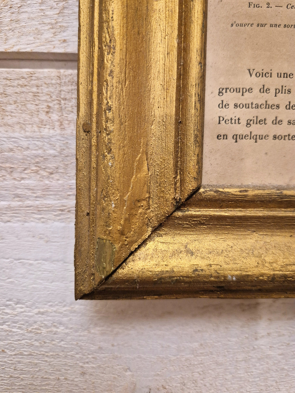 Cadre illustration "La Mode Artistique"