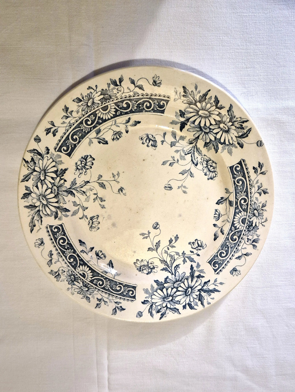 Duo dépareillé d'assiettes bleues anciennes Salins Little Harmonie
