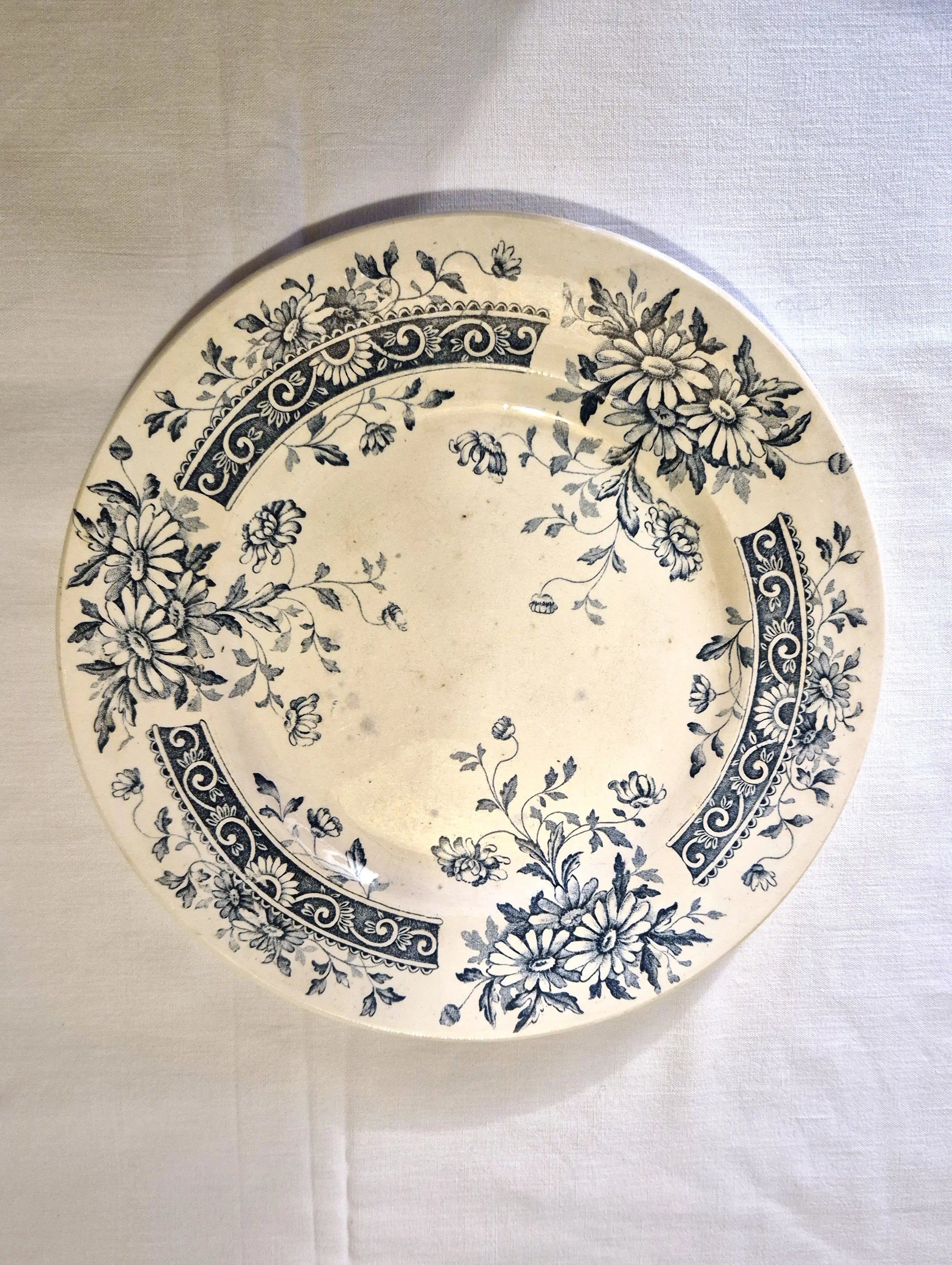 Duo dépareillé d'assiettes bleues anciennes Salins Little Harmonie