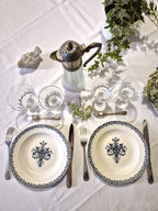 Ensemble de 6 assiettes plates anciennes Salins