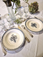 Ensemble de 6 assiettes plates anciennes Salins Little Harmonie