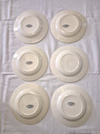 Ensemble de 6 assiettes plates anciennes Salins