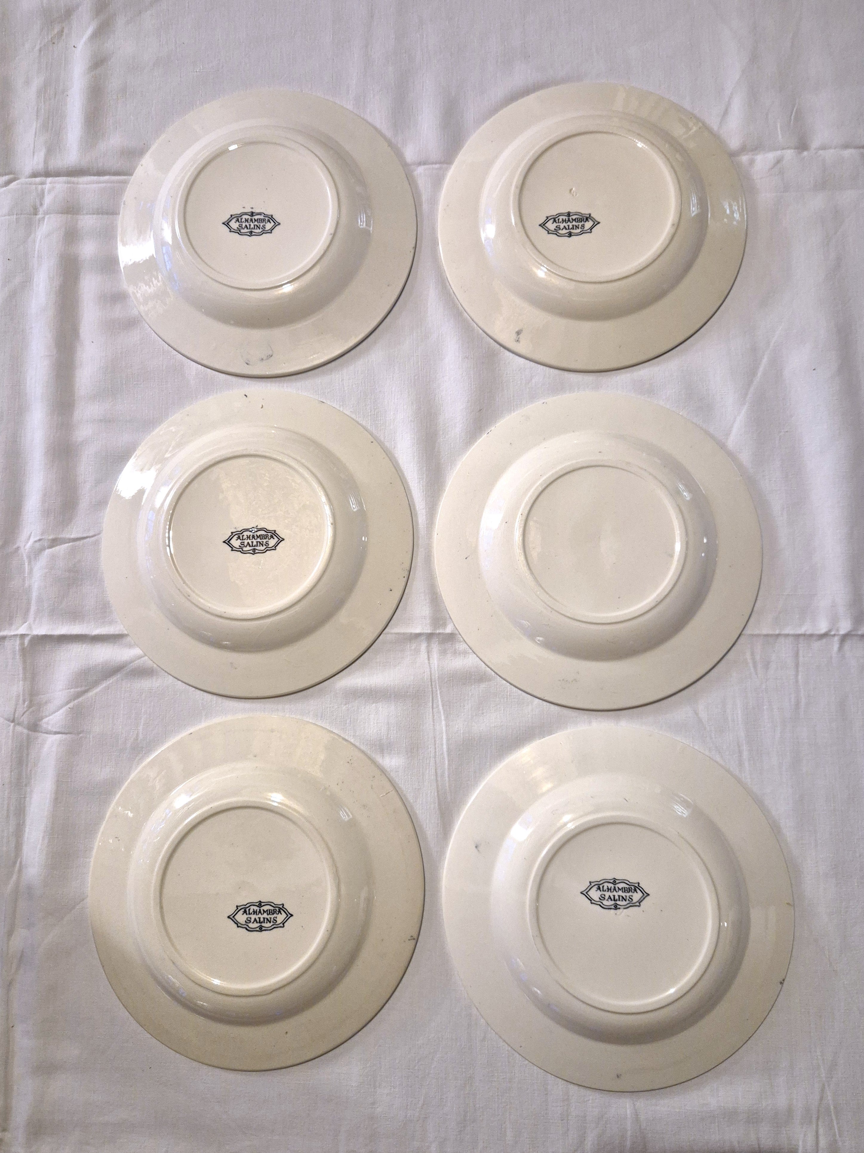 Ensemble de 6 assiettes plates anciennes Salins