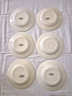 Ensemble de 6 assiettes plates anciennes Salins Little Harmonie