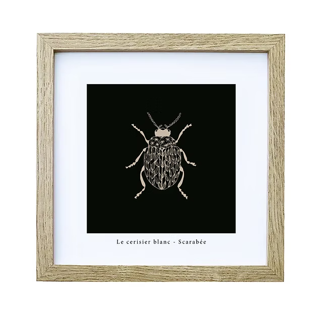 Cadre "Scarabée"