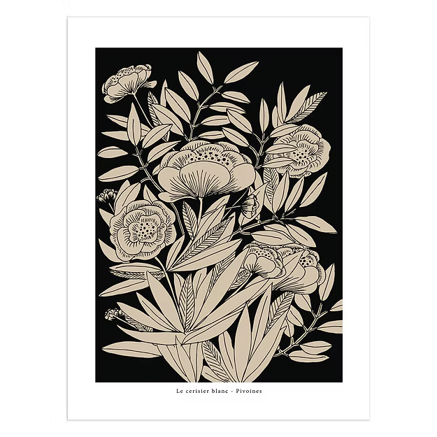 Affiche "Pivoines"