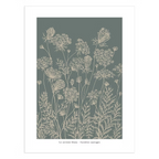 Affiche "Carottes sauvages"