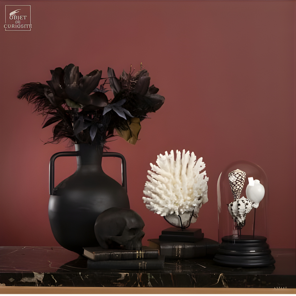 Globe de coquillages noir et blanc