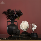 Globe de coquillages noir et blanc