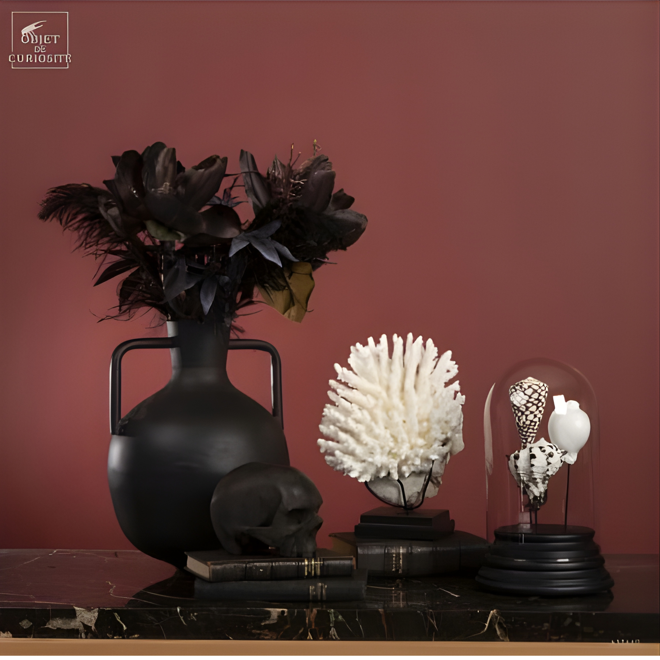 Globe de coquillages noir et blanc