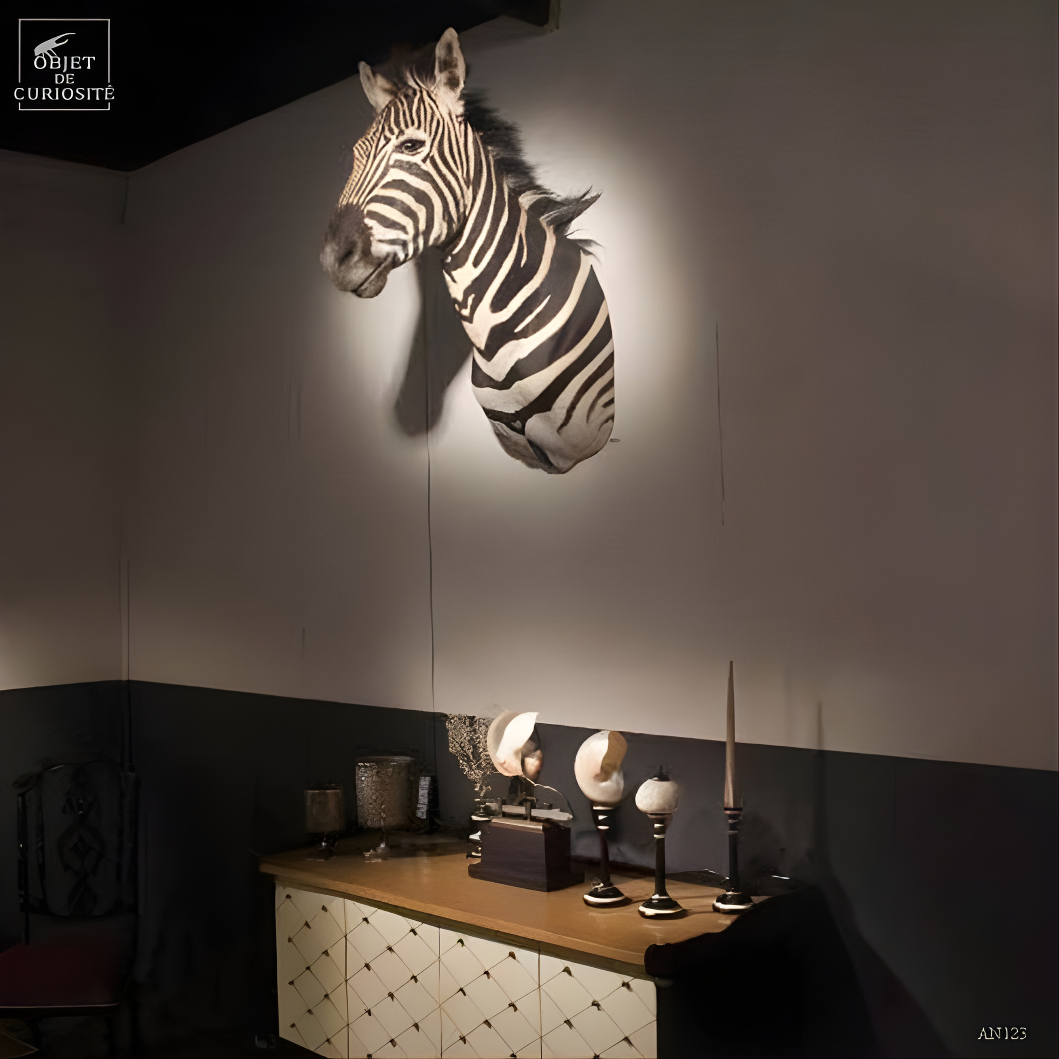 Oursin blanc (Madagascar) sur socle bicolore