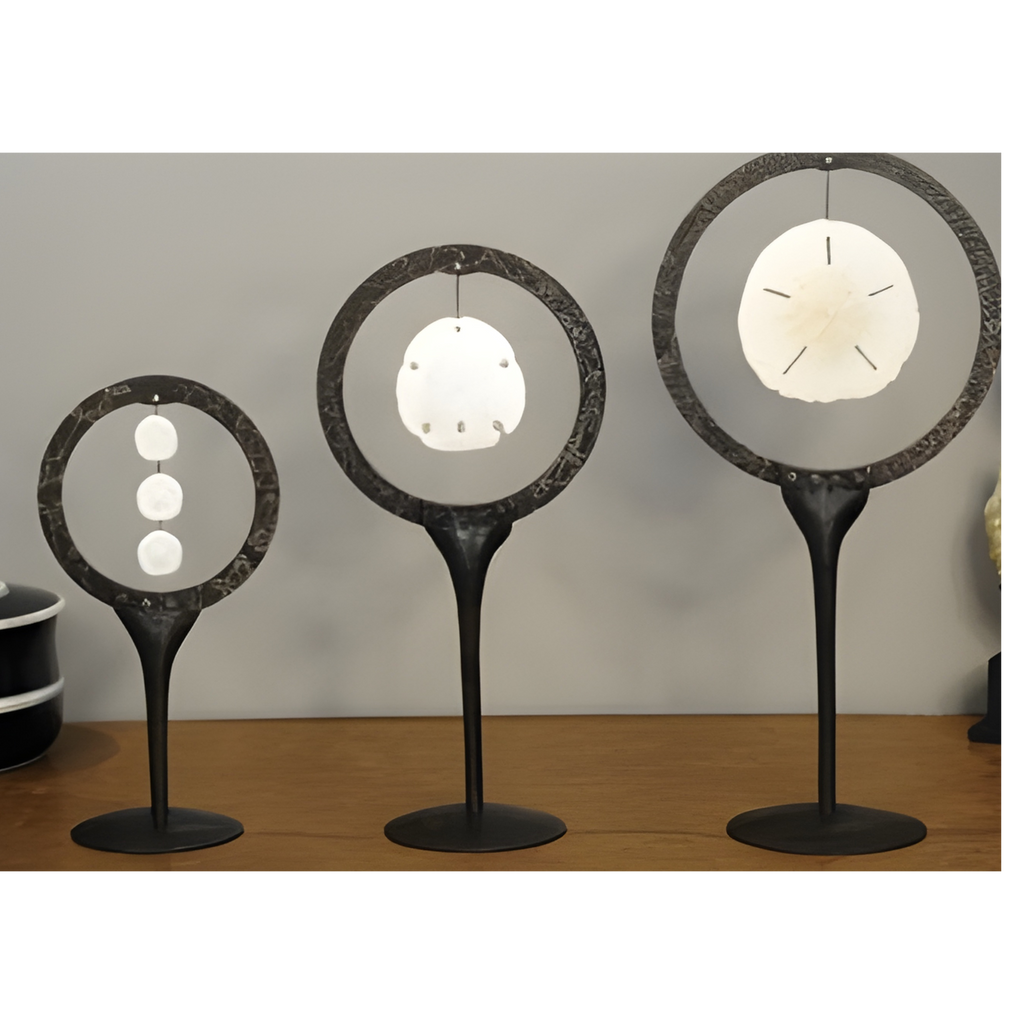 Dollars des sables dans cercle métal