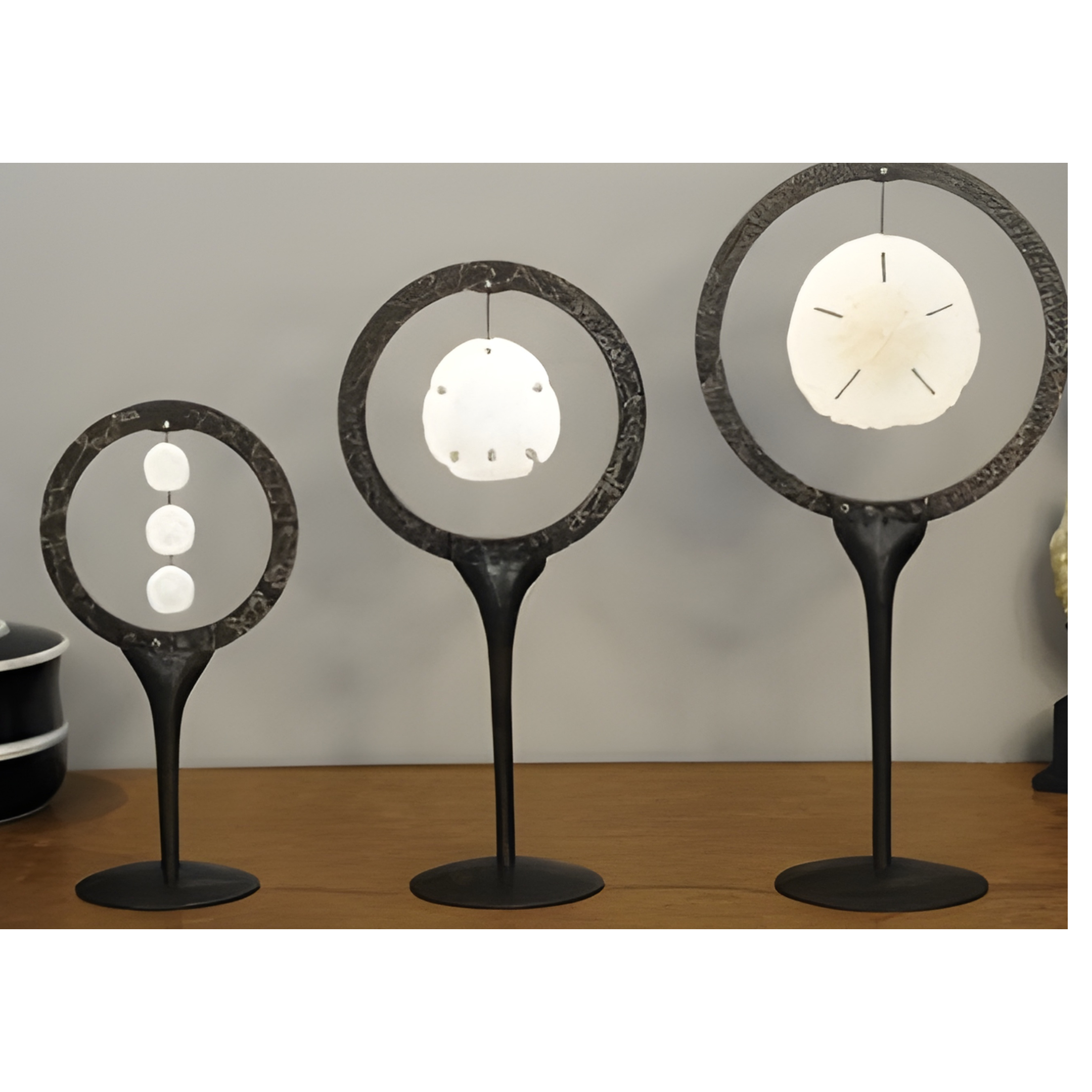 Dollars des sables dans cercle métal