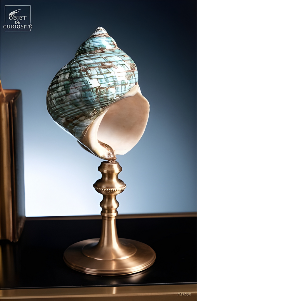 Turbo IMPERIALIS vert, poli, sur pied laiton