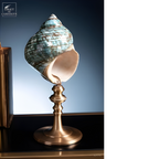 Turbo IMPERIALIS vert, poli, sur pied laiton