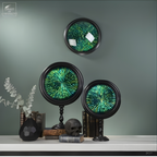 Elytres de Sternoceras dans reliquaire