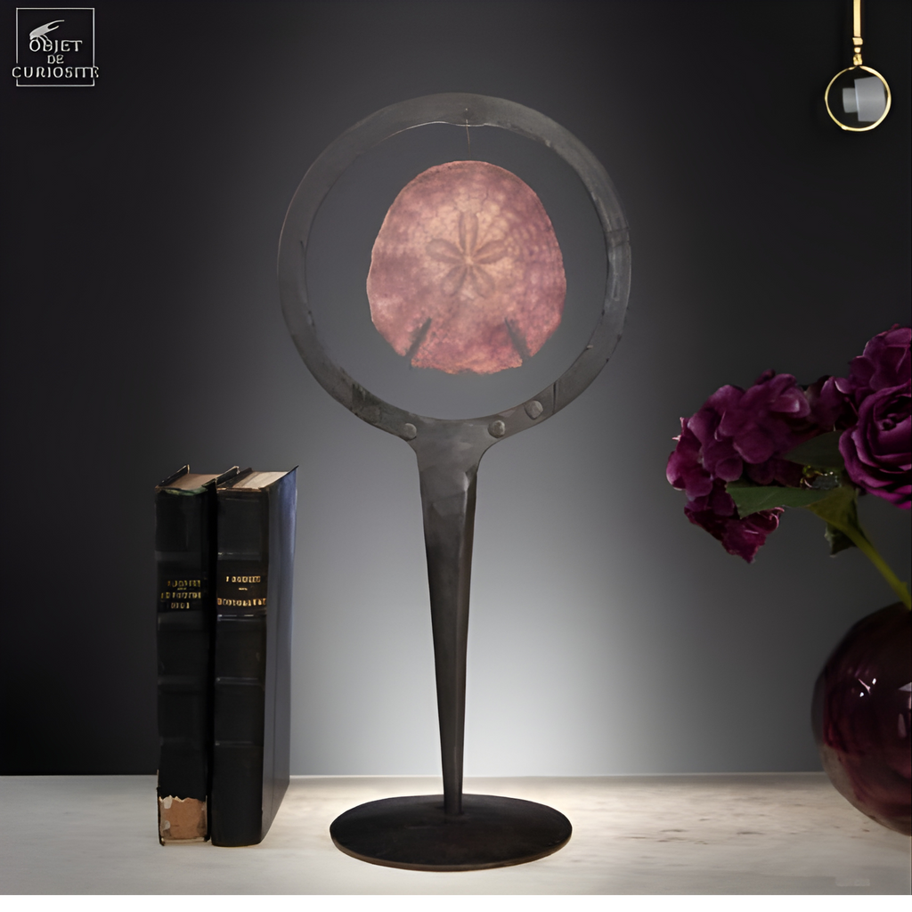 Dollars des sables violet dans cercle métal