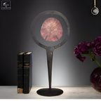 Dollars des sables violet dans cercle métal