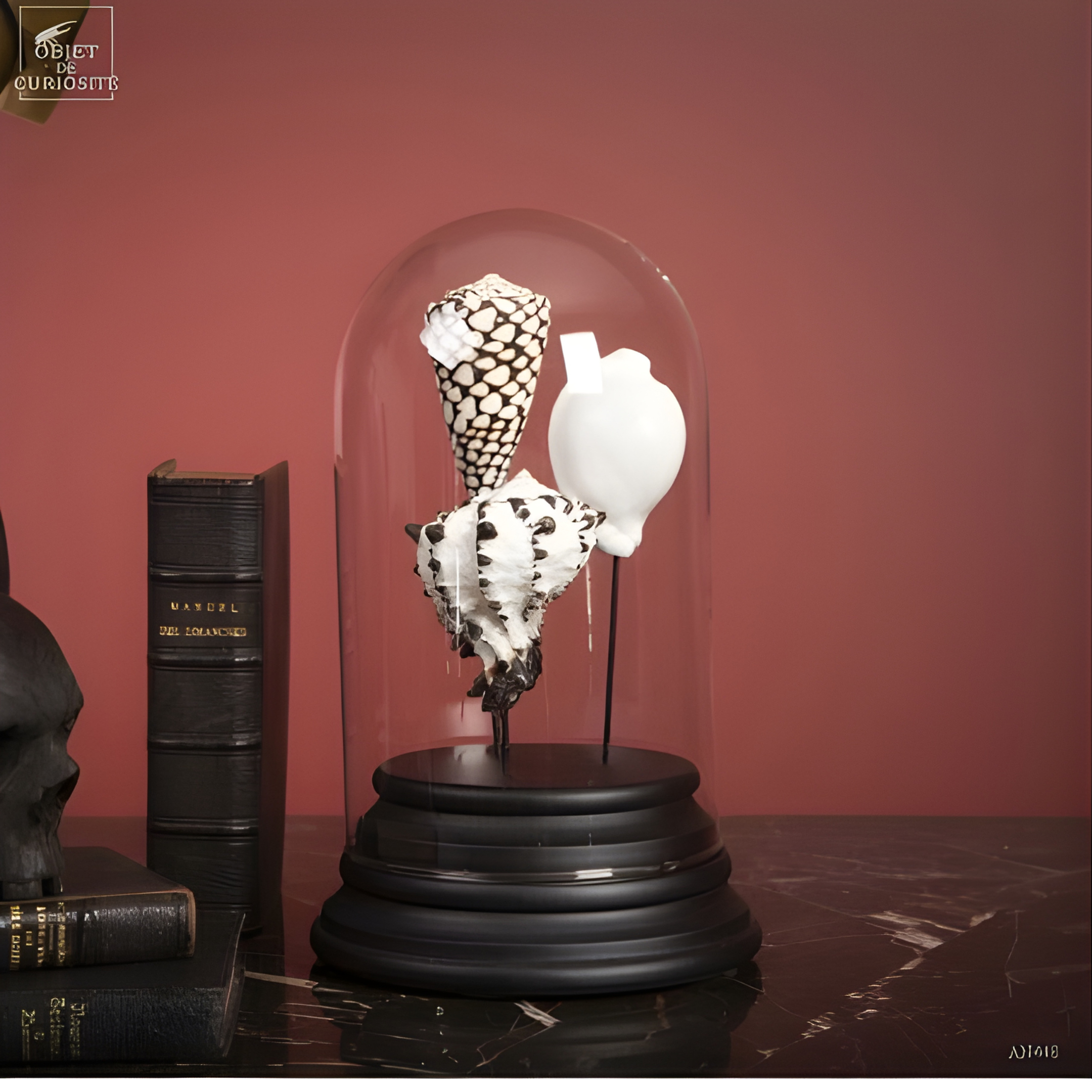 Globe de coquillages noir et blanc