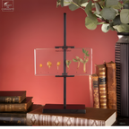 Germination de l'arachide dans résine