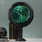 Elytres de Sternoceras dans reliquaire