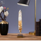 Tranche centrale de coquillage BURSA BUBO