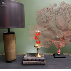 3 papillons CYMOTHOE SANGARIS