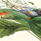 Affiche Bouquet de fleurs Carto polo