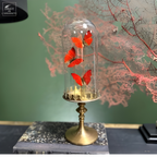 3 papillons CYMOTHOE SANGARIS