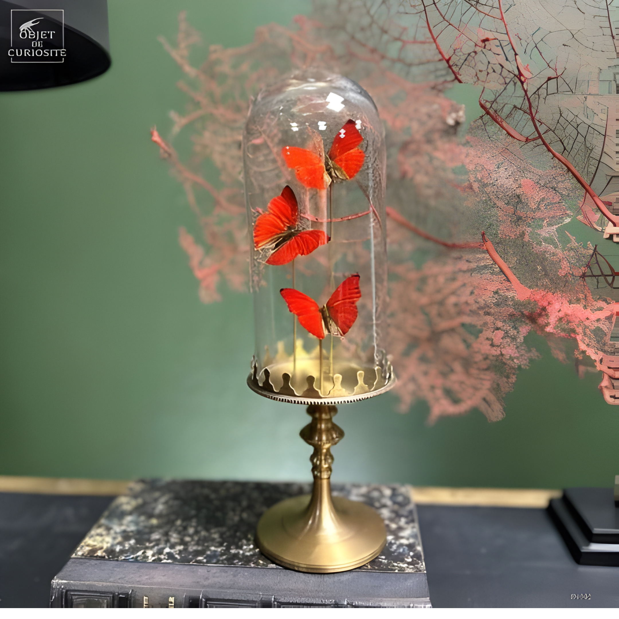 3 papillons CYMOTHOE SANGARIS