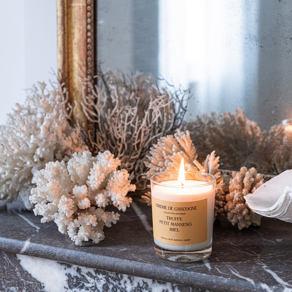 Bougie Truffe Petit Manseng Miel