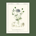 Affiche Didisque bleu Carto polo
