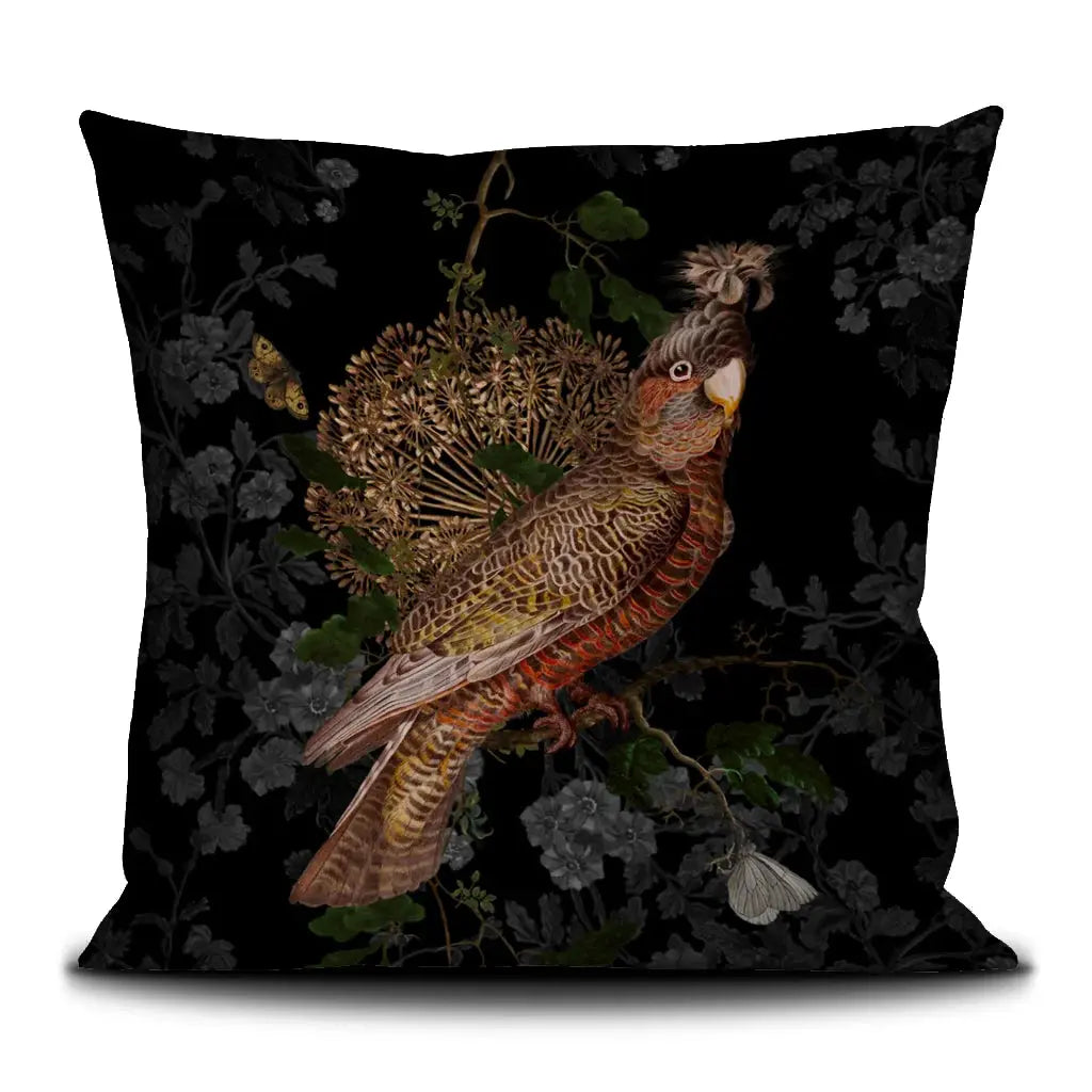 Coussin 50x50 Rio Little Harmonie